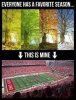 IMG_2705.jpeg